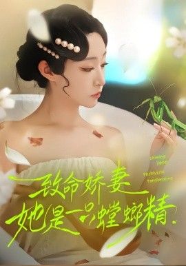 夜航西飞